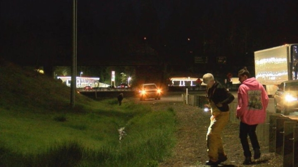 Очень странные дела. Мужчина разбросал из машины на ходу $200 тысяч