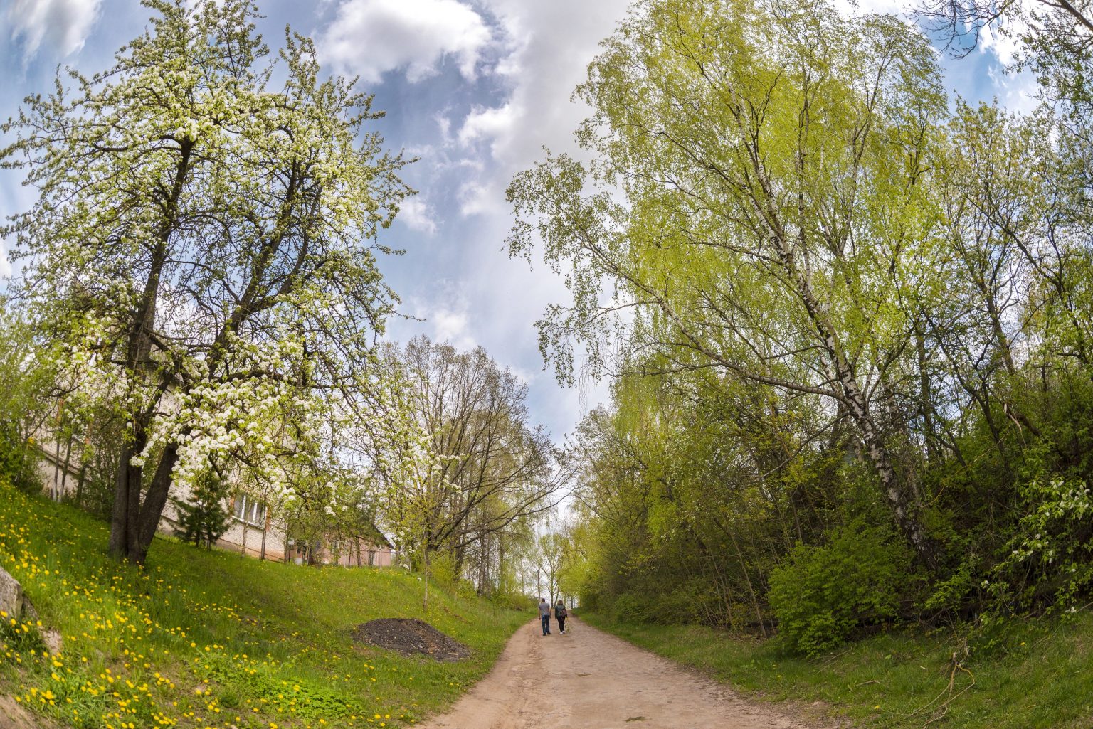 Са 147-годдзем Уладзіміра Адамава, Максім Жукаў! Са 147-годдзем Уладзіміра Адамава, Максім Жукаў!