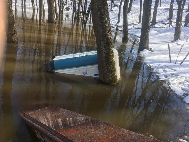 Как золотая рыбка в Витебске утонула Как золотая рыбка в Витебске утонула