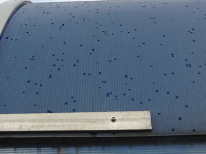 Качественный поликарбонат компании POLYGAL. Срок эксплуатации 10 лет